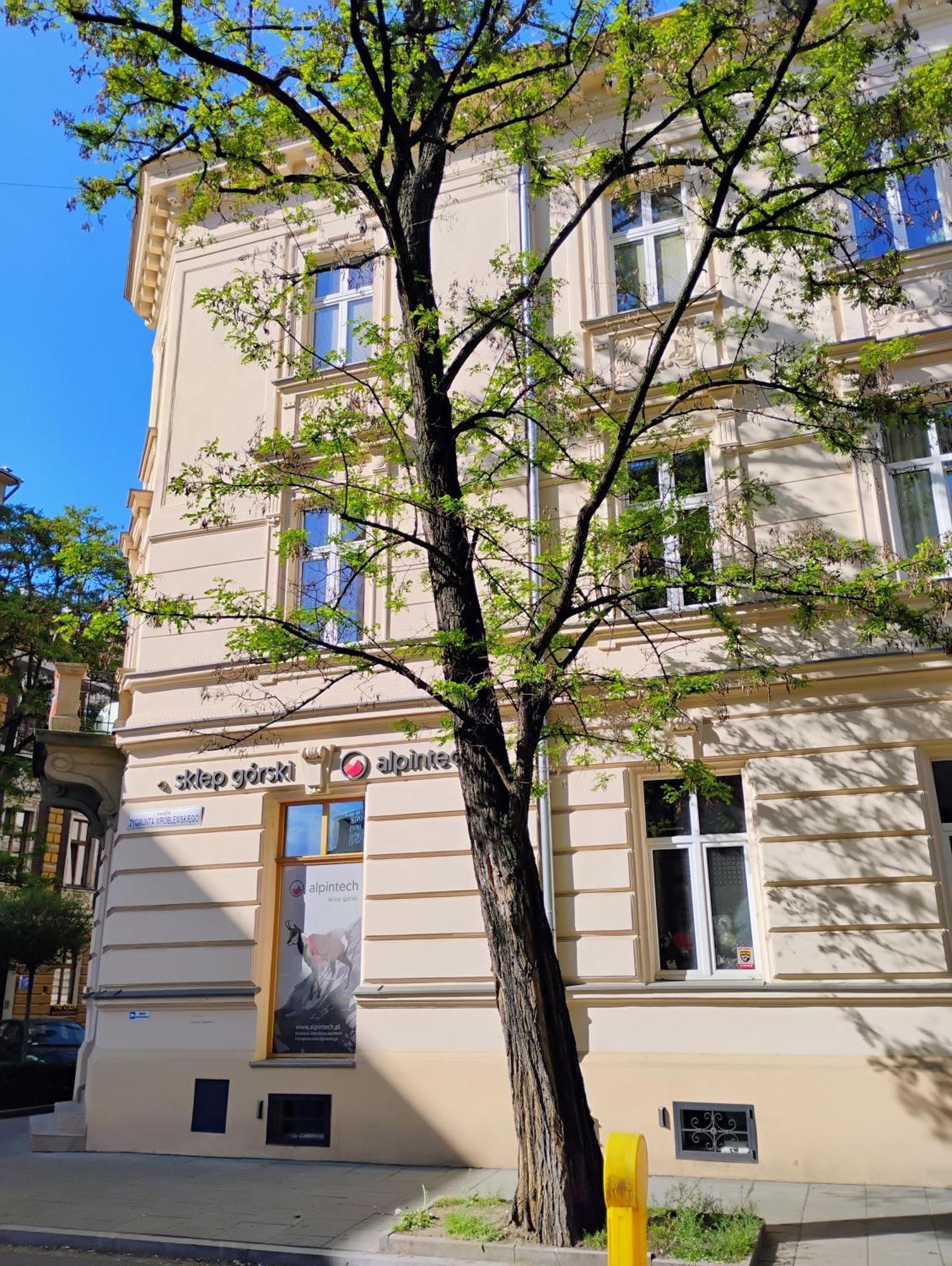 Apartament Rozy Krasków Exterior foto